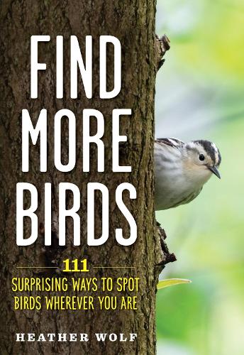 Find More Birds
