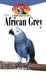 The African Grey: An Owner's Guide to a Happy Healthy Pet (Happy Healthy Pet, 6