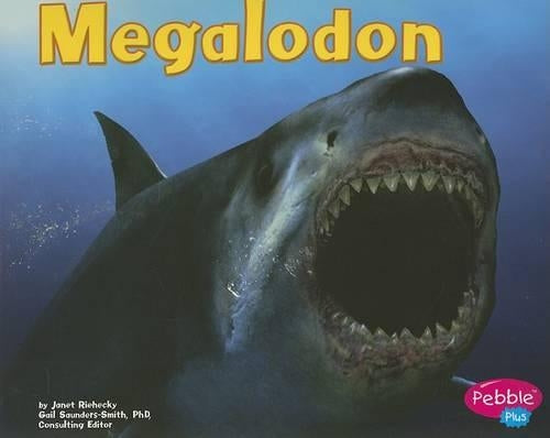 Dinosaurs and Prehistoric Animals Megalodon