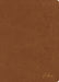 KJV Spurgeon Study Bible, Tan Leathertouch