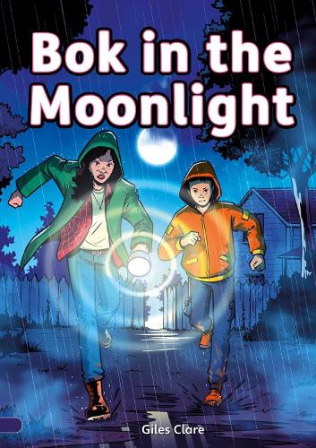 Bok in the Moonlight: Bok & Nick #2 - Little Wandle decodable reader for ages 7 to 14 (Striders Phonics Readers