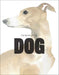 The Book of the Dog