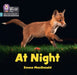 At Night