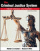 The Criminal Justice System