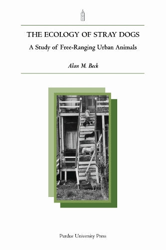 The Ecology of Stray Dogs