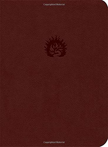 ESV Reformation Study Bible LL Brick Red