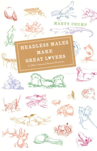 Headless Males Make Great Lovers