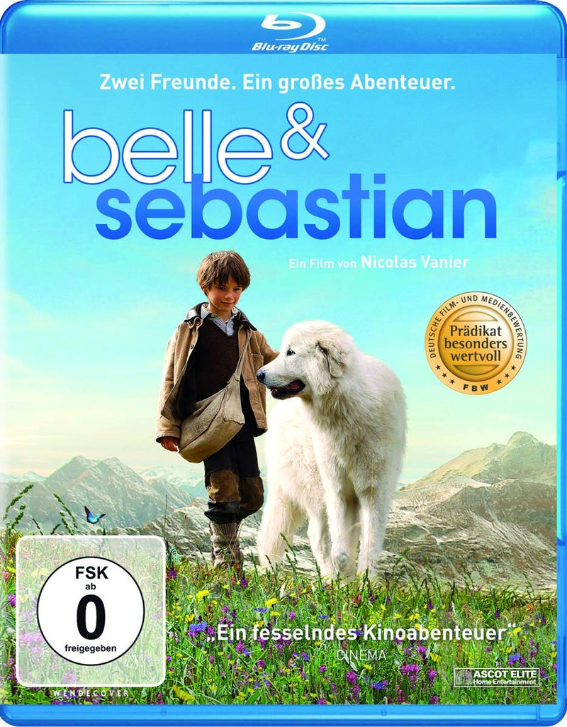 VANIER, NICOLAS - BELLE & SEBASTIAN