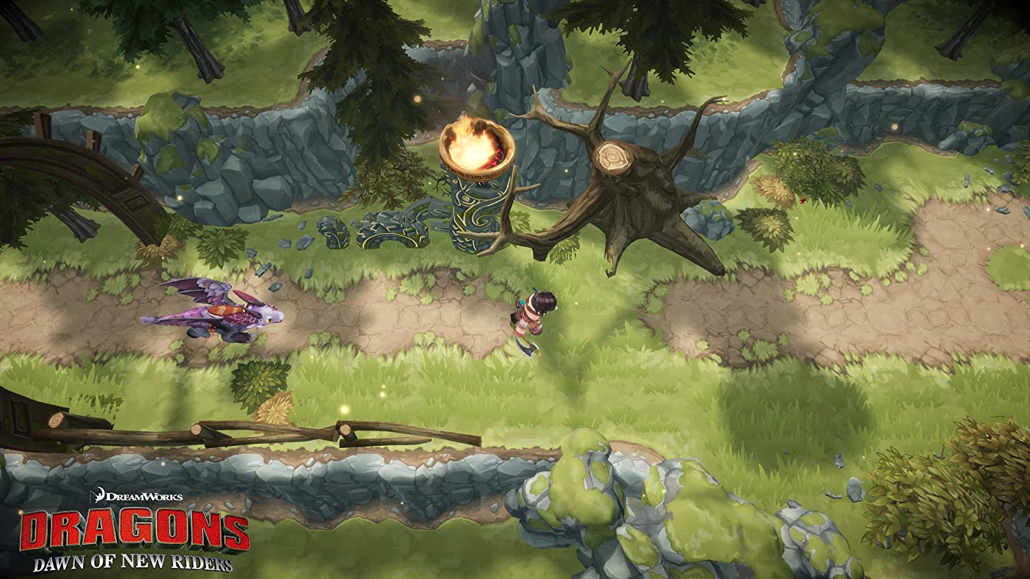 Dragons Dawn of New Riders (PS4) PlayStation 4 Standard