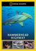National Geographic: Hammerhead Highway