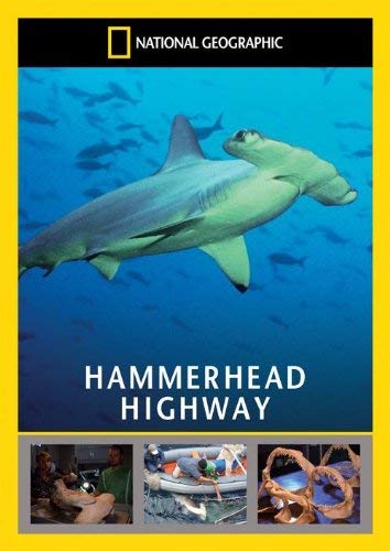 National Geographic: Hammerhead Highway
