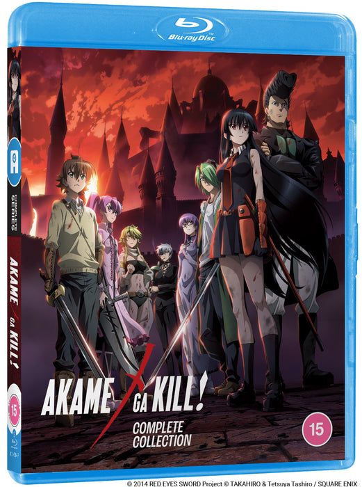 Akame Ga Kill! (Standard Edition)