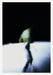Shelley Lasica: WHEN I AM NOT THERE (Monash University Museum of Art