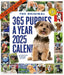365 Puppies-A-Year Picture-A-Day® Wall Calendar 2025