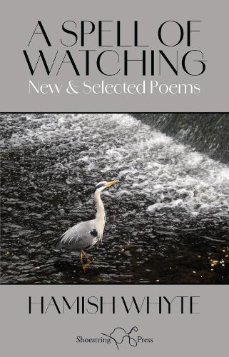 A Spell of Watching