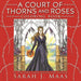 A Court of Thorns and Roses Coloring Book