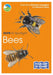 RSPB ID Spotlight - Bees