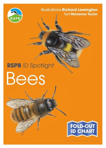 RSPB ID Spotlight - Bees