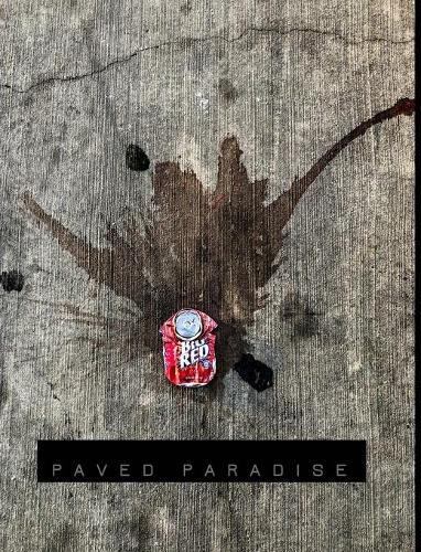 Paved Paradise