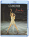 Celine Dion - A New Day - Live in Las Vegas