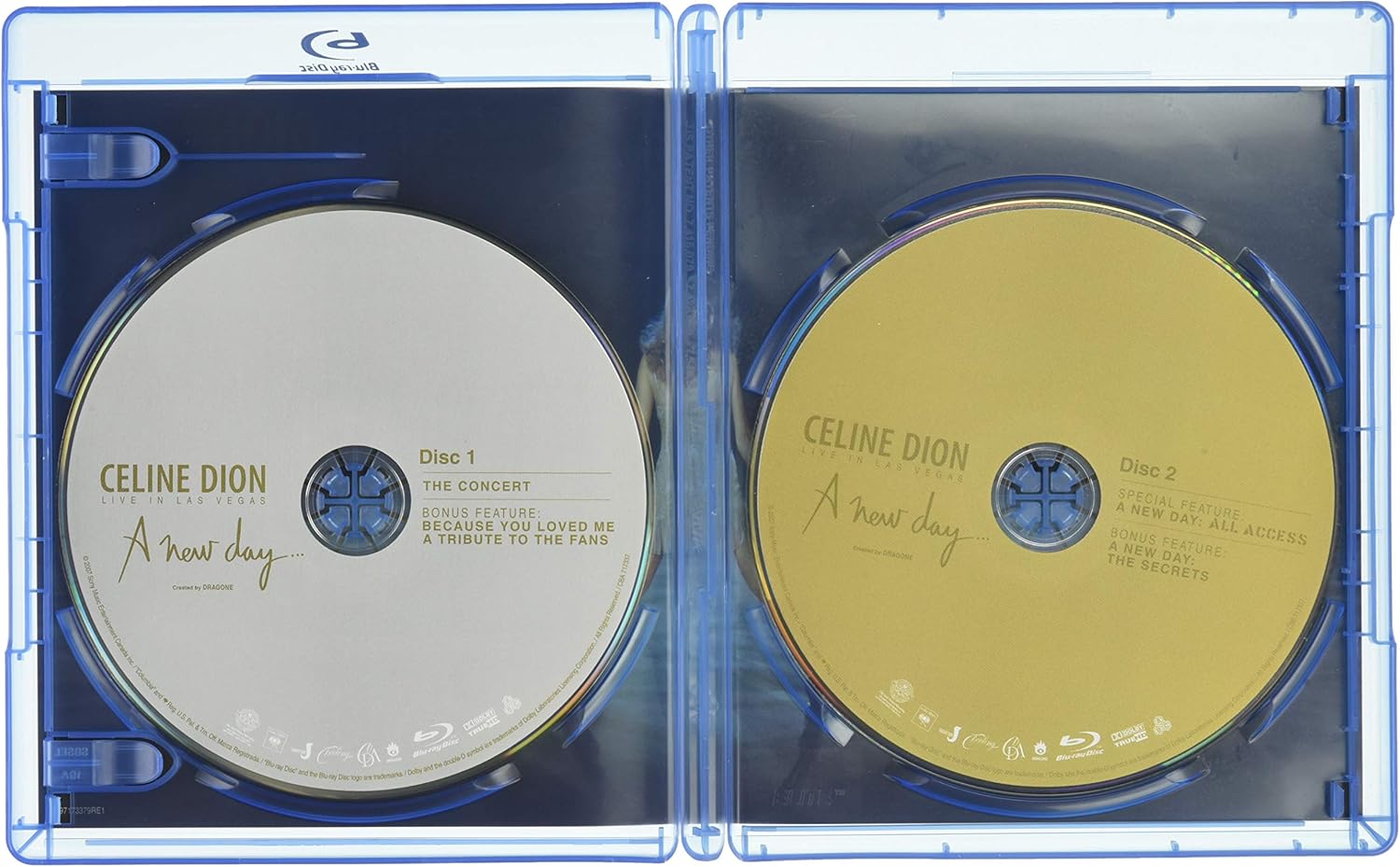 Celine Dion - A New Day - Live in Las Vegas