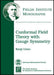Conformal Field Theory with Gauge Symmetry