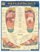 Reflexology