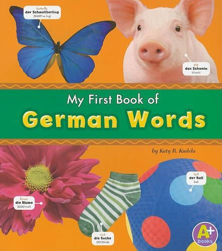 Bilingual Picture Dictionaries My First Book of German Words