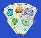 In a Globe Flash Cards