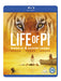 Life of Pi