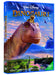 Dinosauri