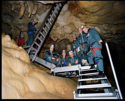 Die Höhle der vergessenen Träume