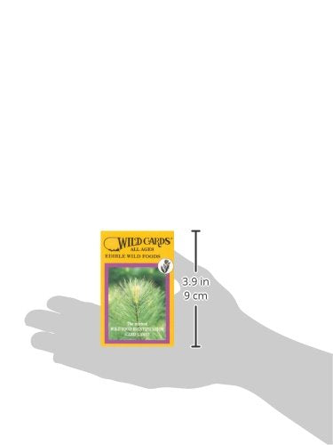 Edible Wild Foods Playing Card