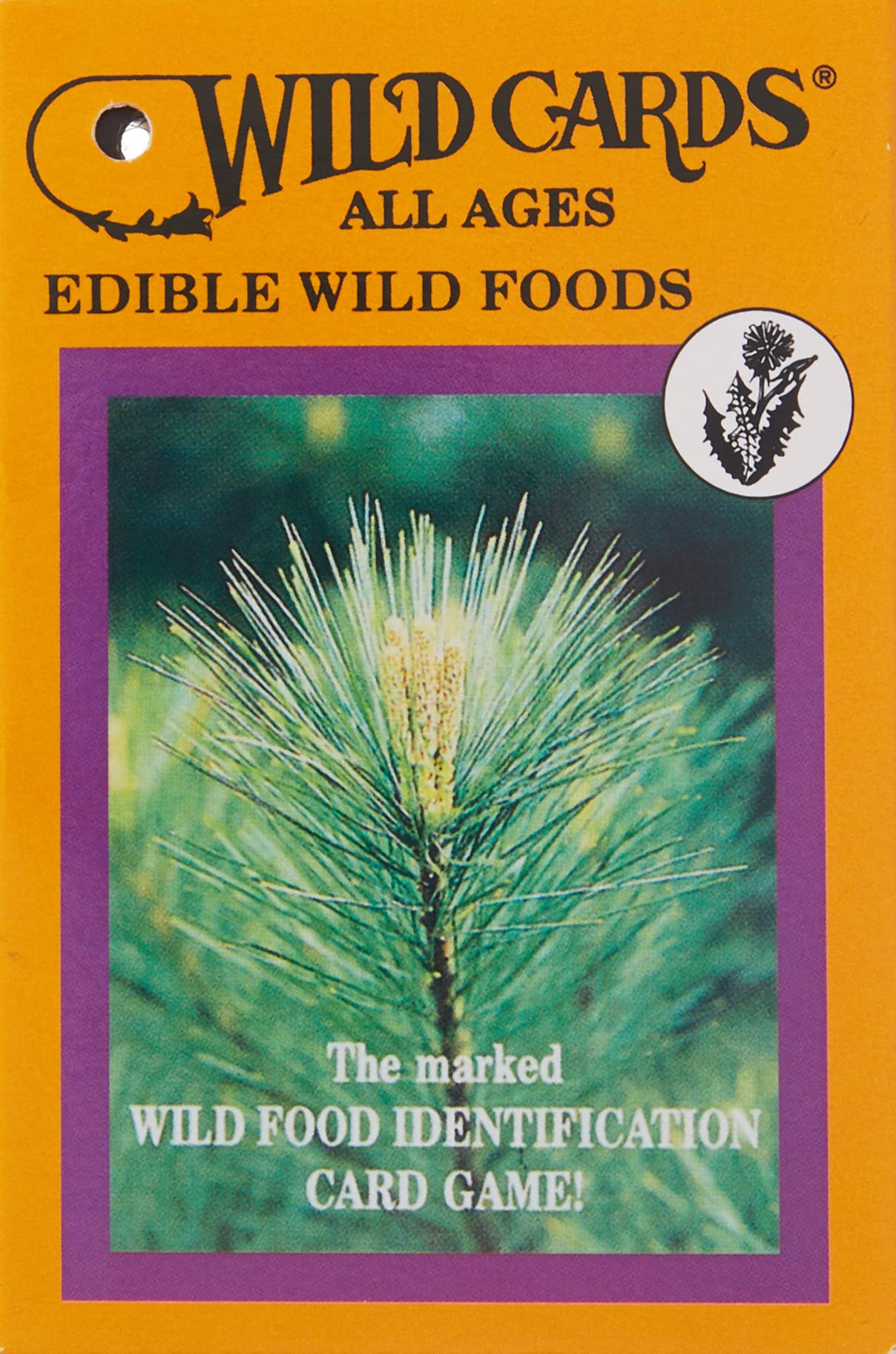 Edible Wild Foods Playing Card