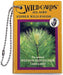 Edible Wild Foods Playing Card