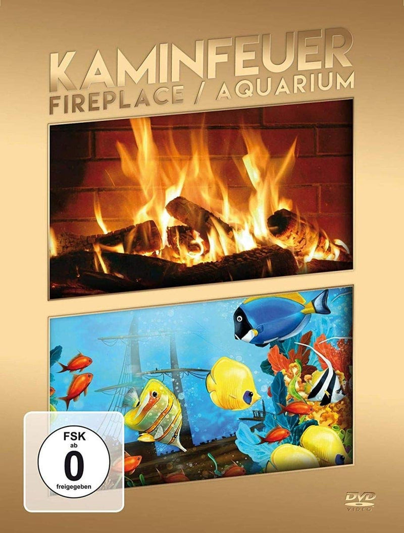 Fireplace/Aquarium