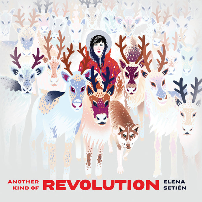 Another Kind of Revolution