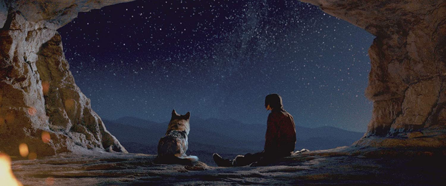 Alpha 2019