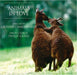 Philip Glass: Animals in Love