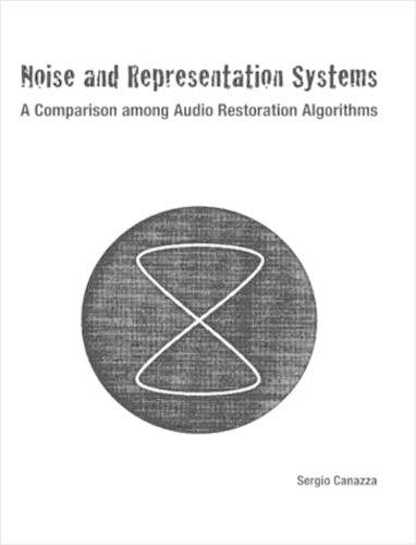 Noise and Representation Systems