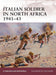 Italian soldier in North Africa 1941–43