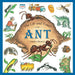 Life and Times of the Ant