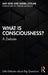 What is Consciousness?: A Debate (Little Debates about Big Questions