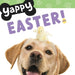 Yappy Easter! (Yappy Days!