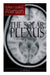 The Solar Plexus - Abdominal Brain