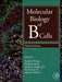 Molecular Biology of B Cells