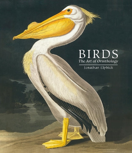 Birds: The Art of Ornithology (Pocket edition