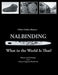 Nalbinding - What in the World Is That?