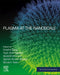 Plasma at the Nanoscale