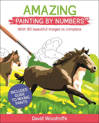 Amazing Painting by Numbers